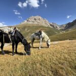 HOURSE riding in kyrgyzstan